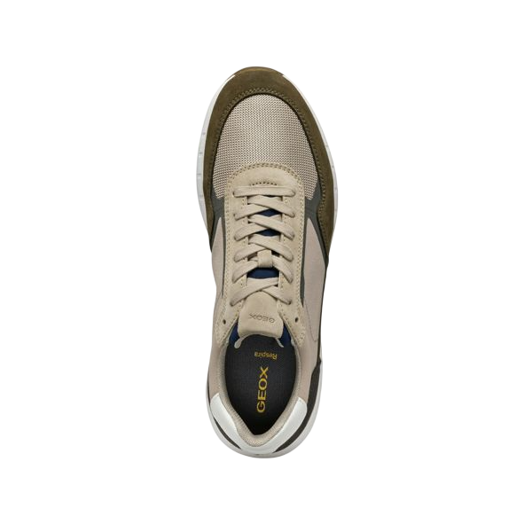 sneakers-uomo-geox-branthon-military-sand-3