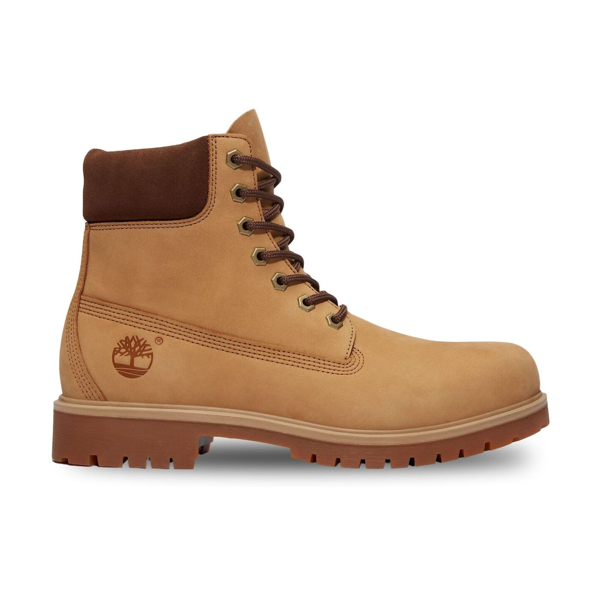 stivali-uomo-timberland-25 6-Inch-marrone